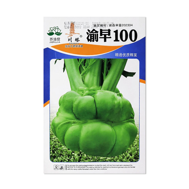 芥涪佳川塔渝早100榨菜种子