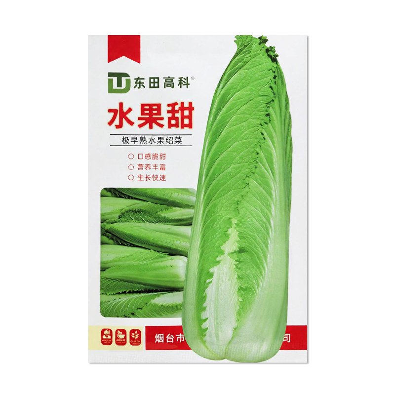 东田高科水果甜绍菜种子