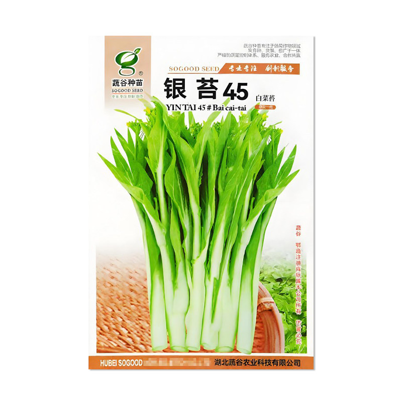 蔬谷银苔45白菜苔种子