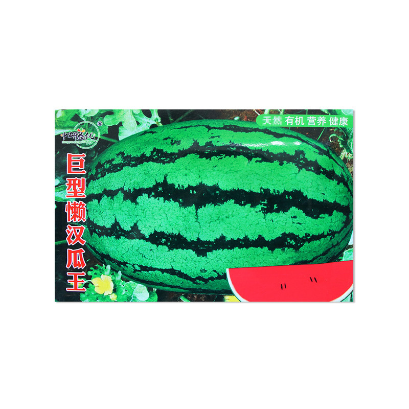中研盛优巨型懒汉瓜王西瓜种子