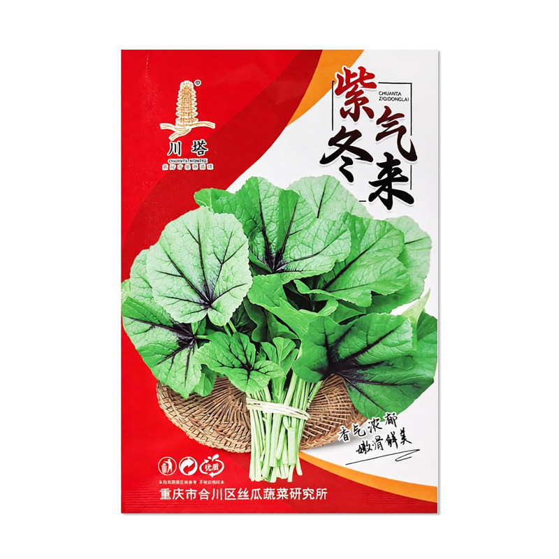 川塔紫气冬来冬寒菜种子