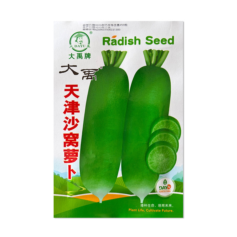 大禹天津沙窝萝卜种子