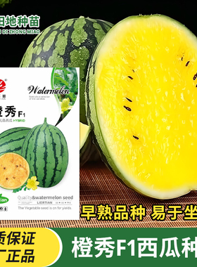 橙秀F1礼品西瓜种子椭圆黄心黄瓤橙黄橙色西瓜种子小西瓜水果种子