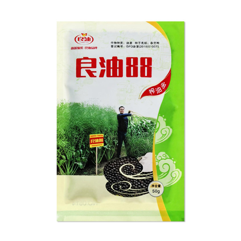 良油88油菜种子甘蓝型