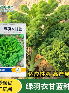 绿羽衣甘蓝种子皱叶菜种籽观赏食用绿色四季庭院田园农家蔬菜种籽