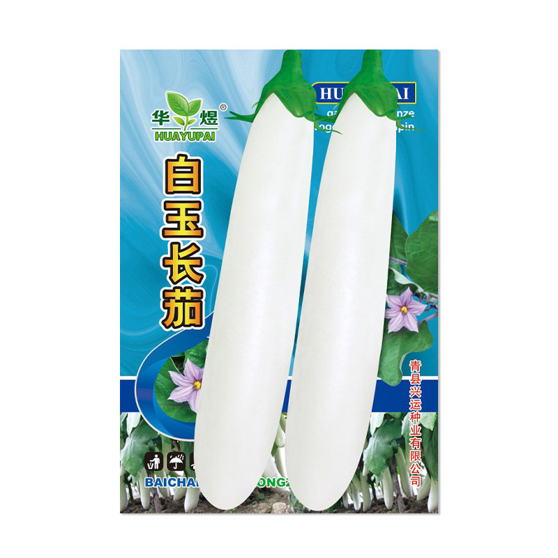 华煜白玉长茄种子白色茄籽