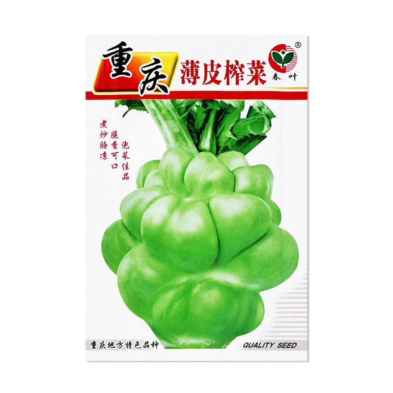 春叶重庆薄皮榨菜种子