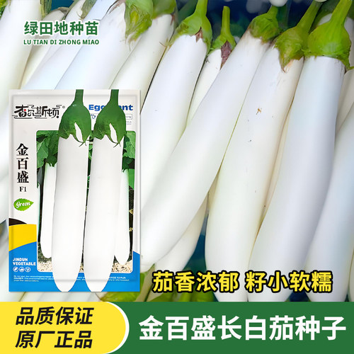 金百盛长茄种子白玉长茄种籽