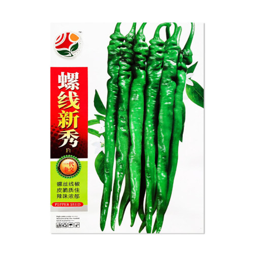 皖椒螺线新秀辣椒种子
