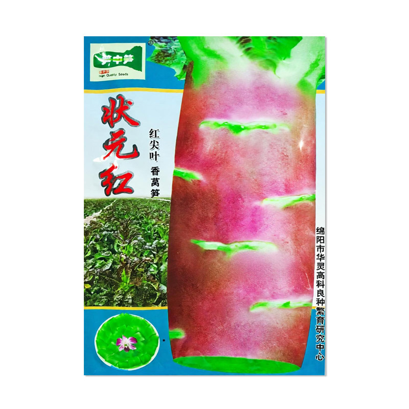 笋中笋状元红莴笋种子