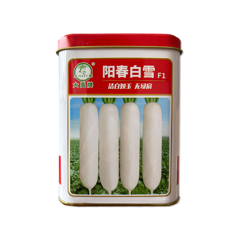 大禹阳春白雪白萝卜种子