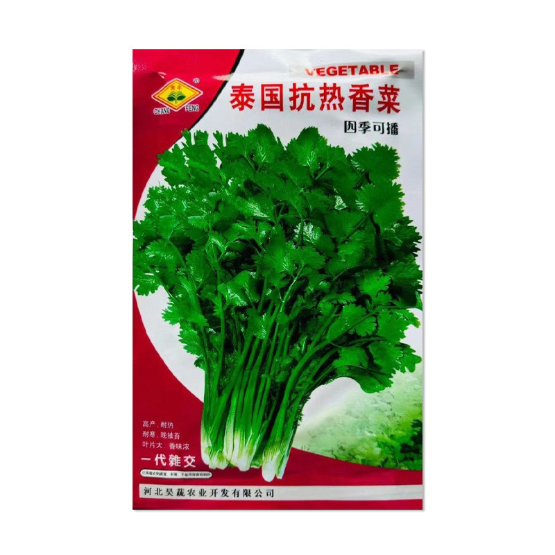 常丰泰国抗热香菜种子