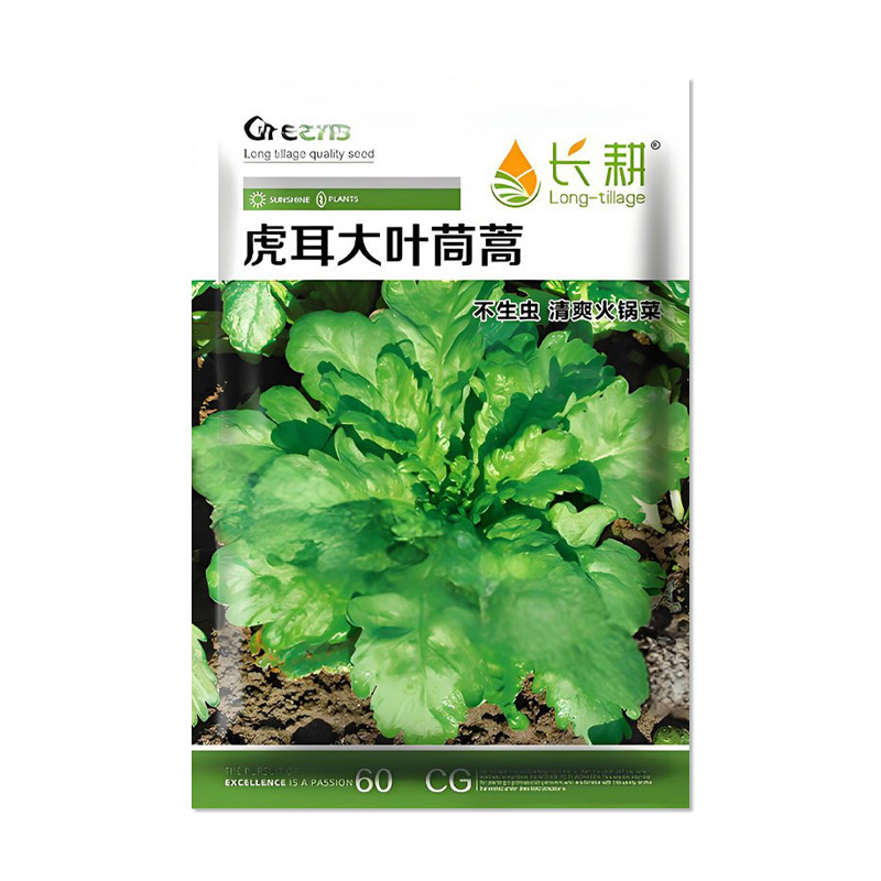 长耕虎耳大叶茼蒿种子