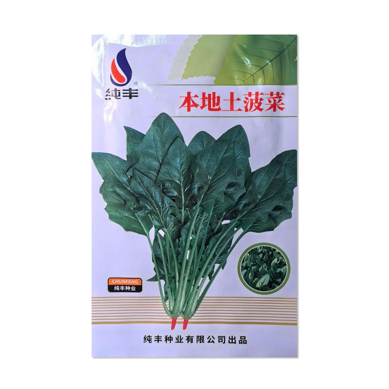 纯丰本地土菠菜种子菜种籽