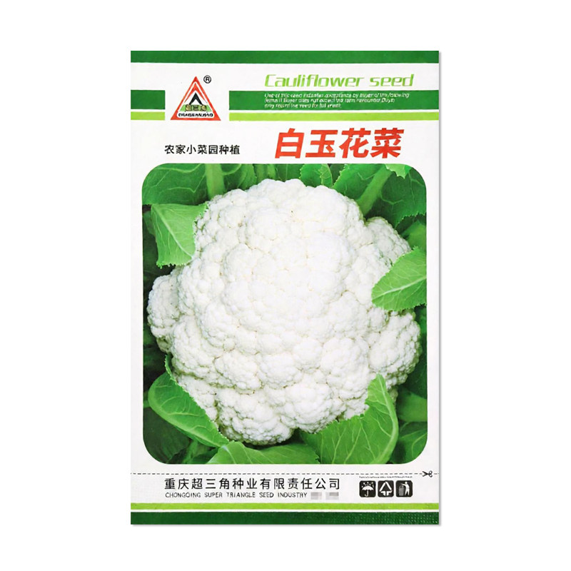 超三角白玉花菜种子花椰菜