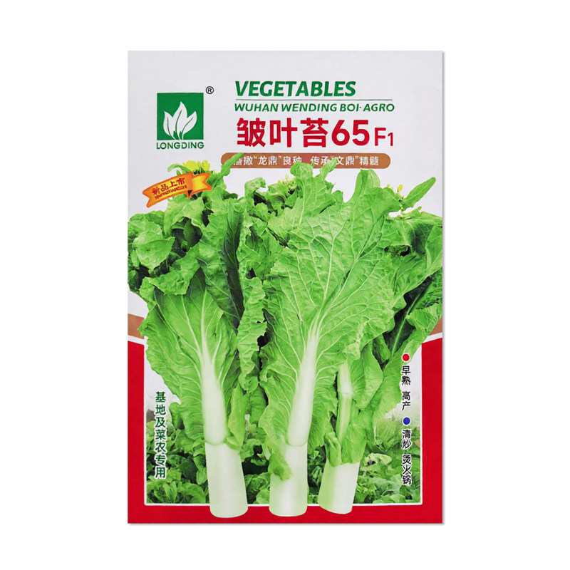 文鼎皱叶苔65白菜苔种子