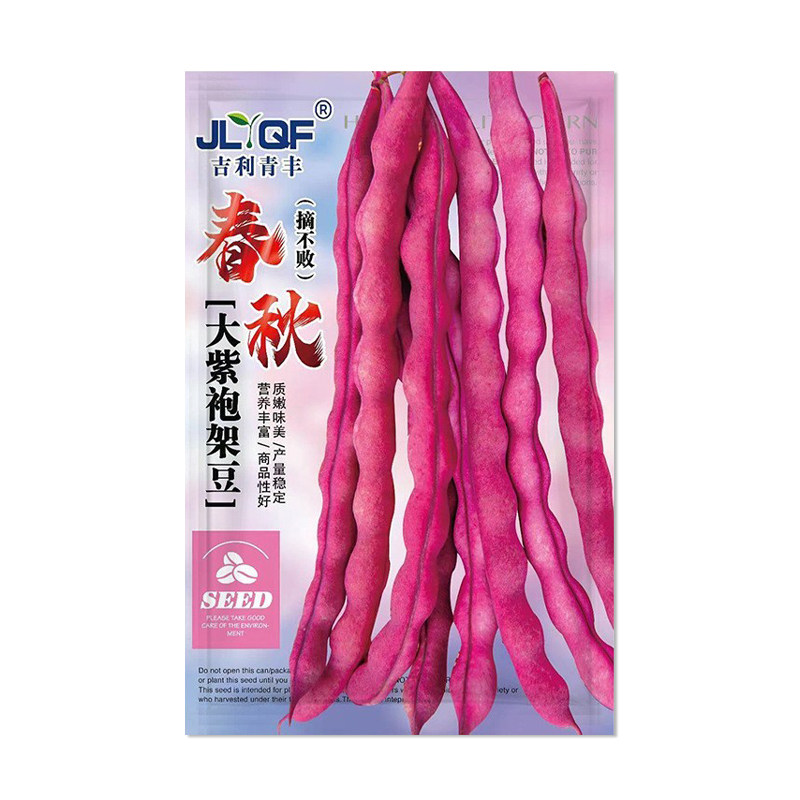 摘不败春秋大紫袍架豆种子