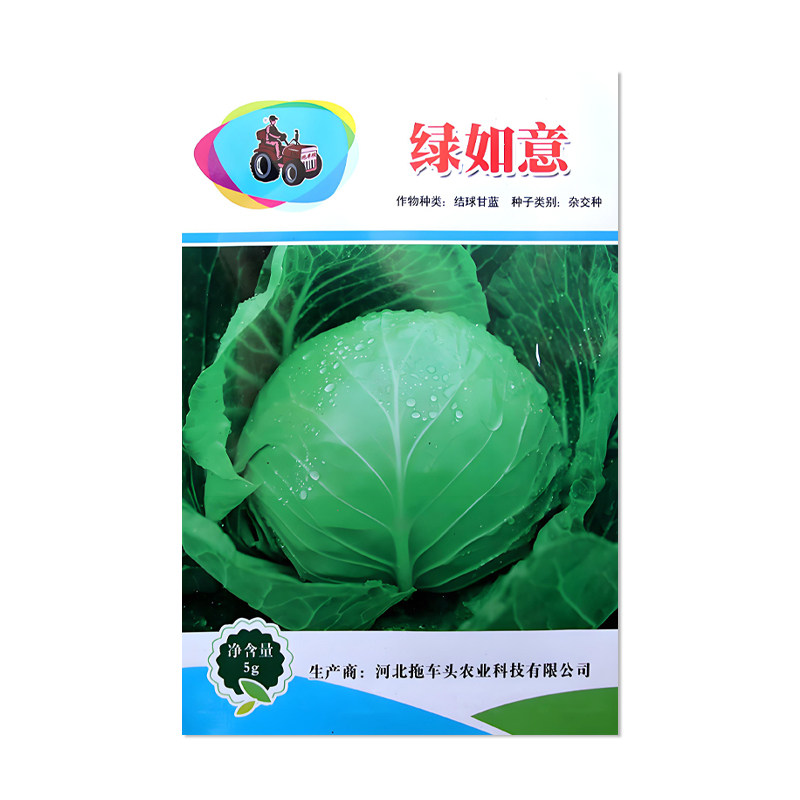 绿如意甘蓝种子结球甘蓝