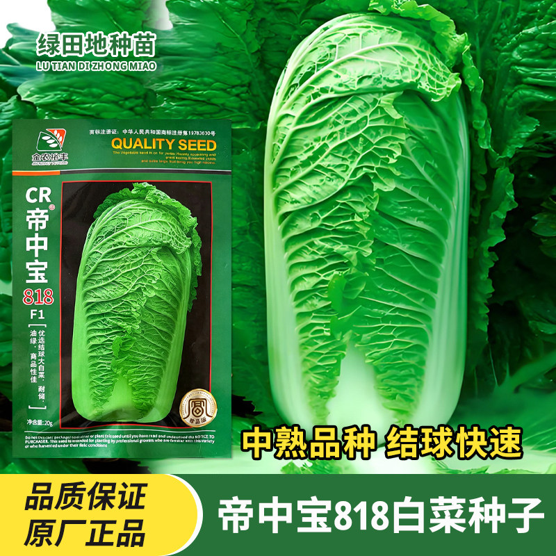 金农裕丰帝中宝818白菜种子