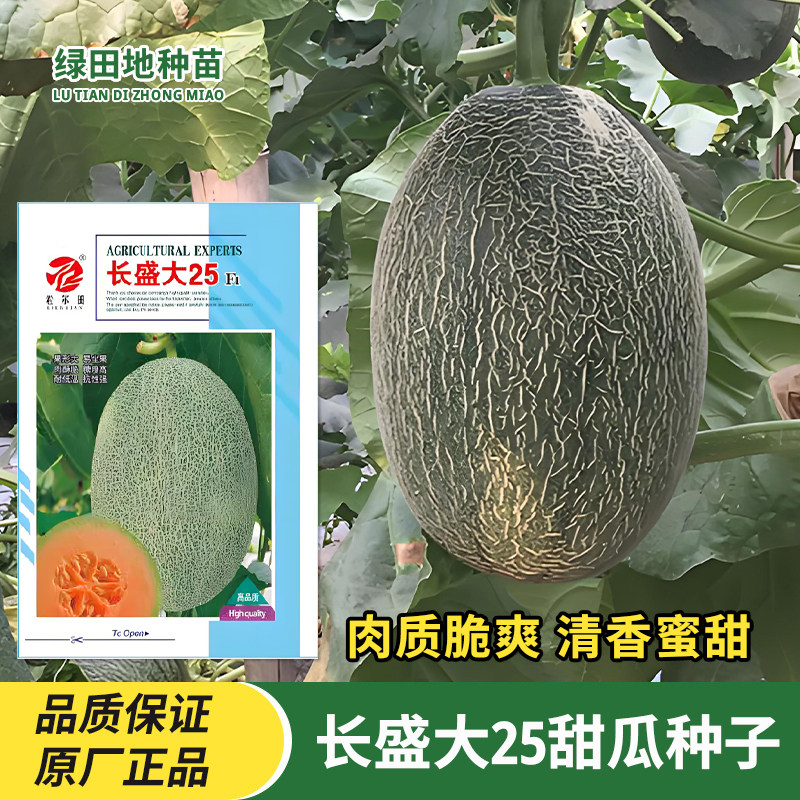 长盛大25甜瓜种子水果种子