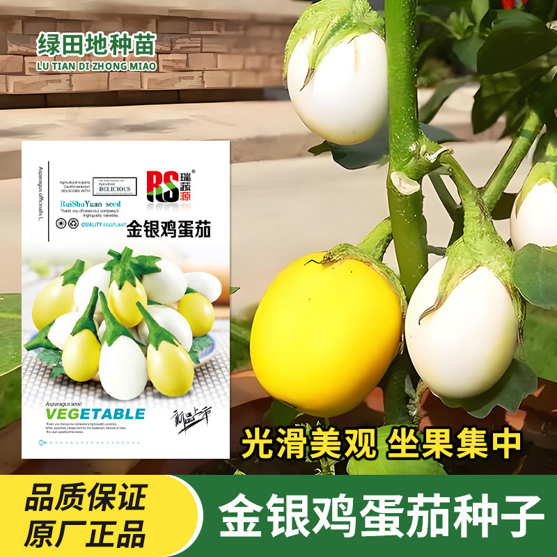 金银鸡蛋茄种子茄子种子