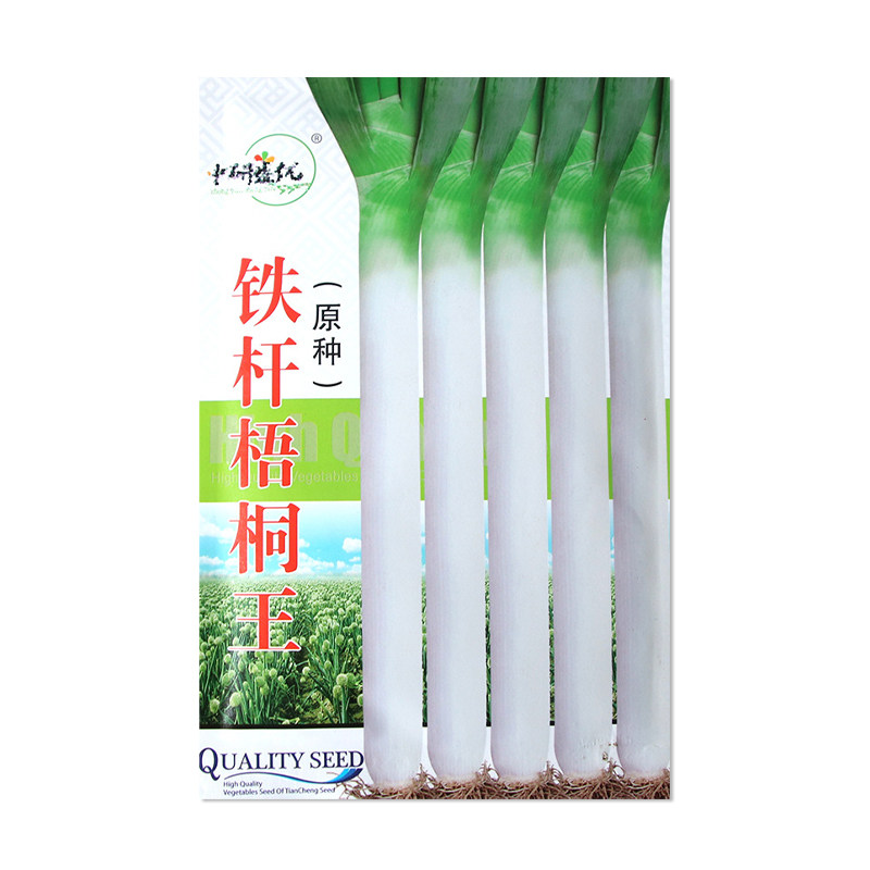 中研盛优铁杆梧桐王大葱种子