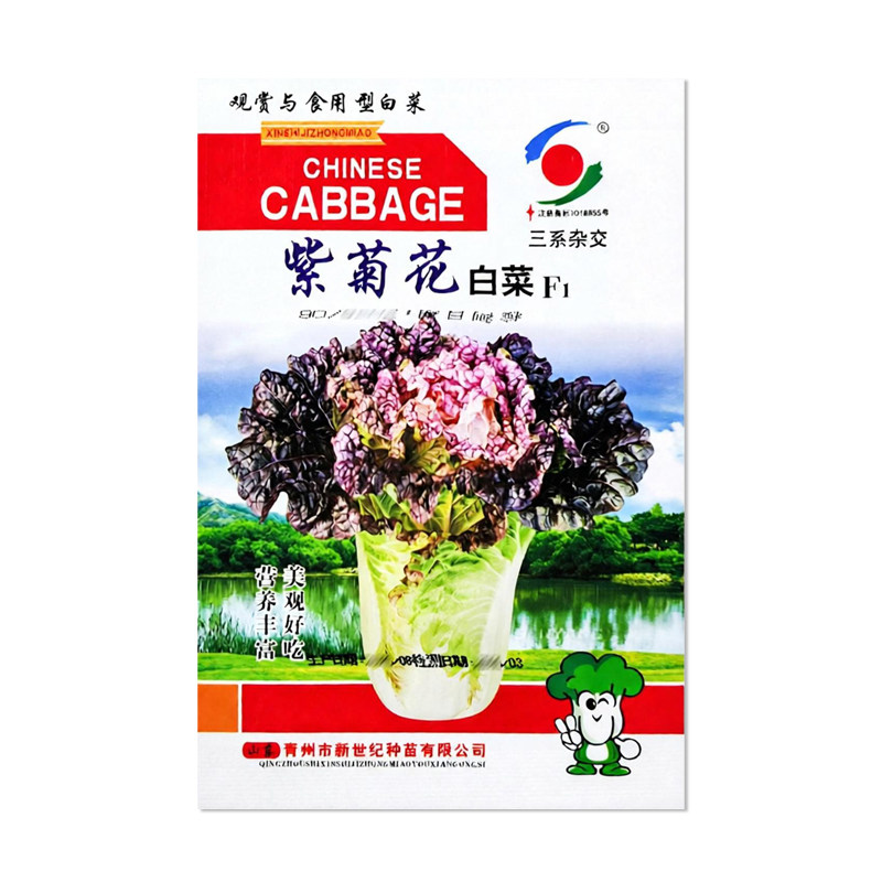 新世纪紫菊花白菜种子