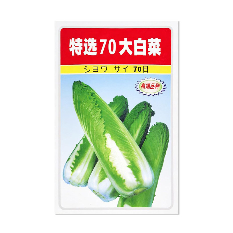 广良特选70大白菜种子