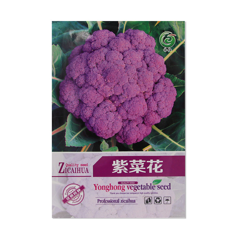 永红紫菜花种子蔬菜种籽