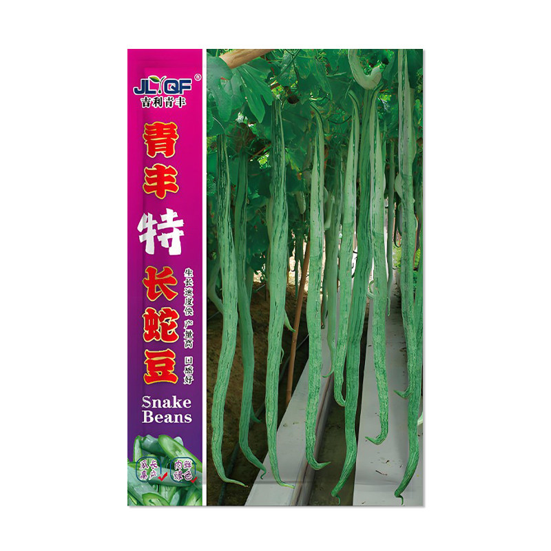 吉利青丰蛇豆种子观赏食用
