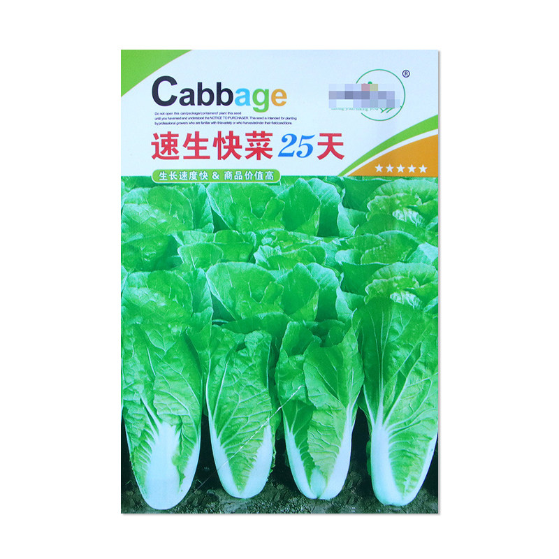 中研盛优速生快菜25天快菜种子