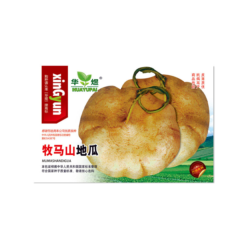 华煜牧马山地瓜种子沙葛