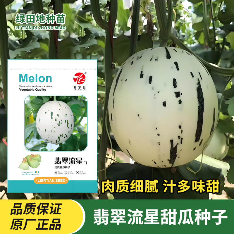 翡翠流星甜瓜种子流星蜜