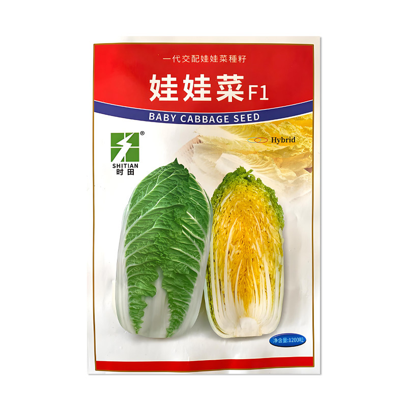 时田娃娃菜种子蔬菜种子