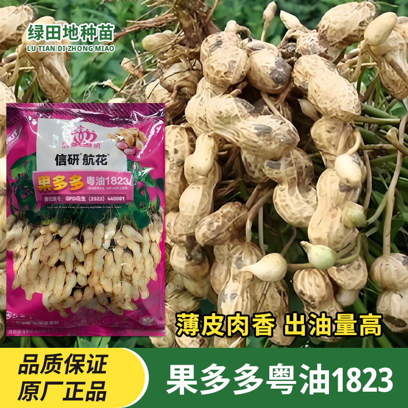 果多多粤油1823高产花生种子