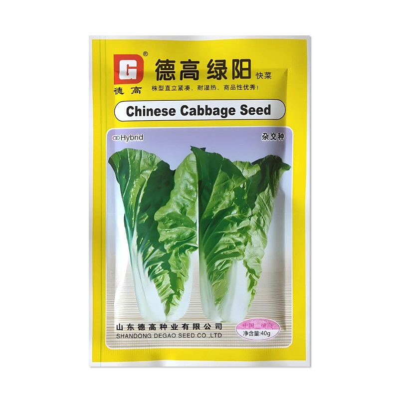 德高绿阳快菜种子蔬菜种子籽