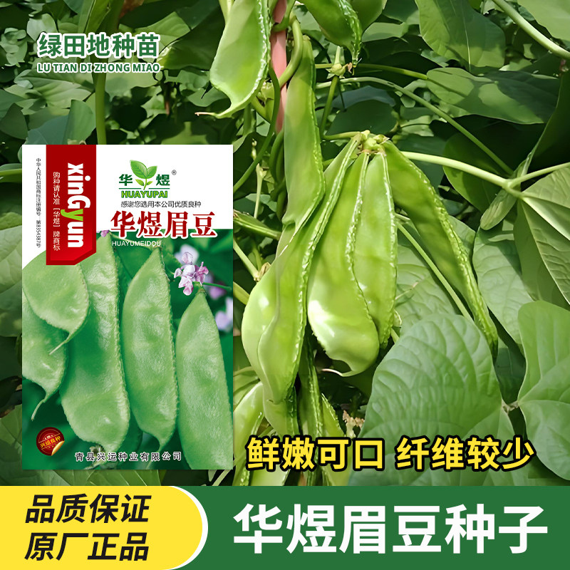 华煜眉豆种子蔬菜种籽