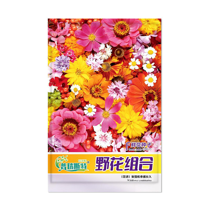 普瑞斯特野花组合种子