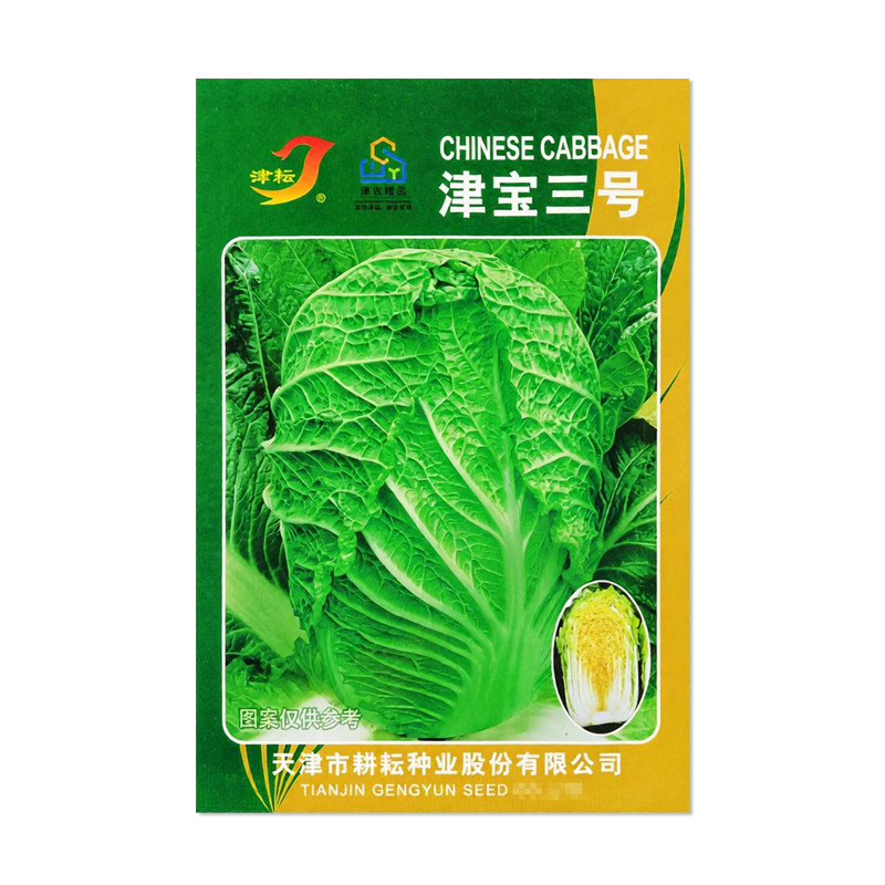 津耘津宝三号大白菜种子