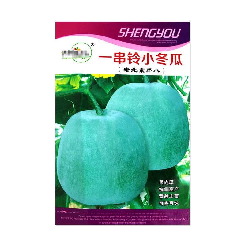 中研盛优一串铃小冬瓜种子