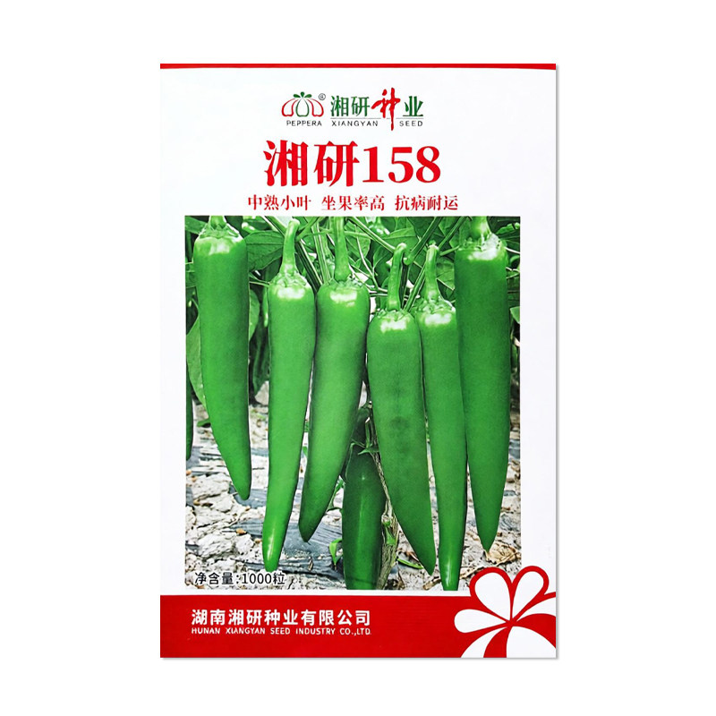 湘研158辣椒种子牛角椒