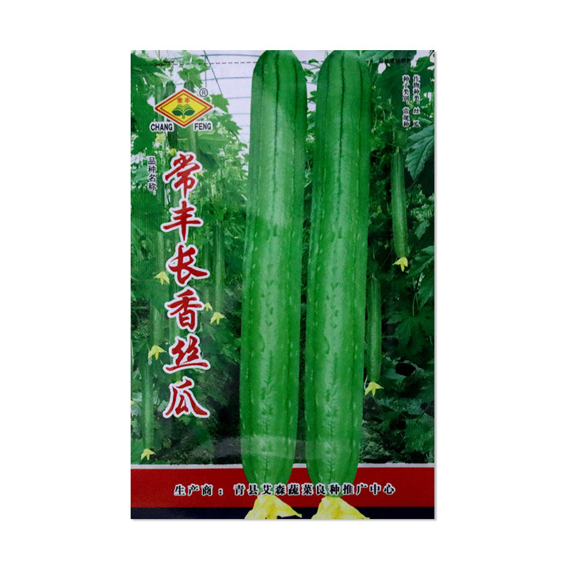 常丰长香丝瓜种子蔬菜种子