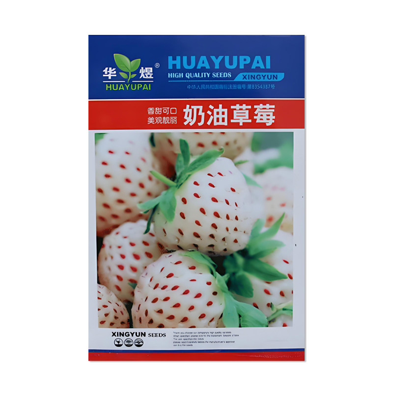 华煜奶油草莓种子水果种子