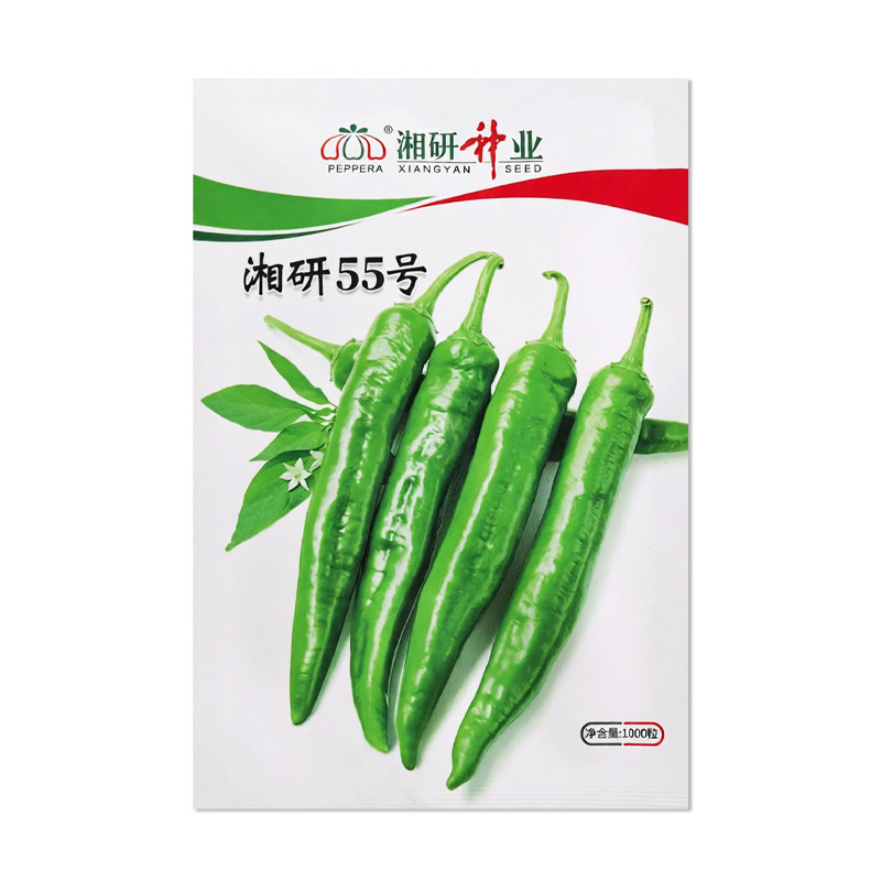 湘研55号辣椒种子中熟长牛角椒顺直微辣皮薄虎皮尖椒春夏秋菜种子