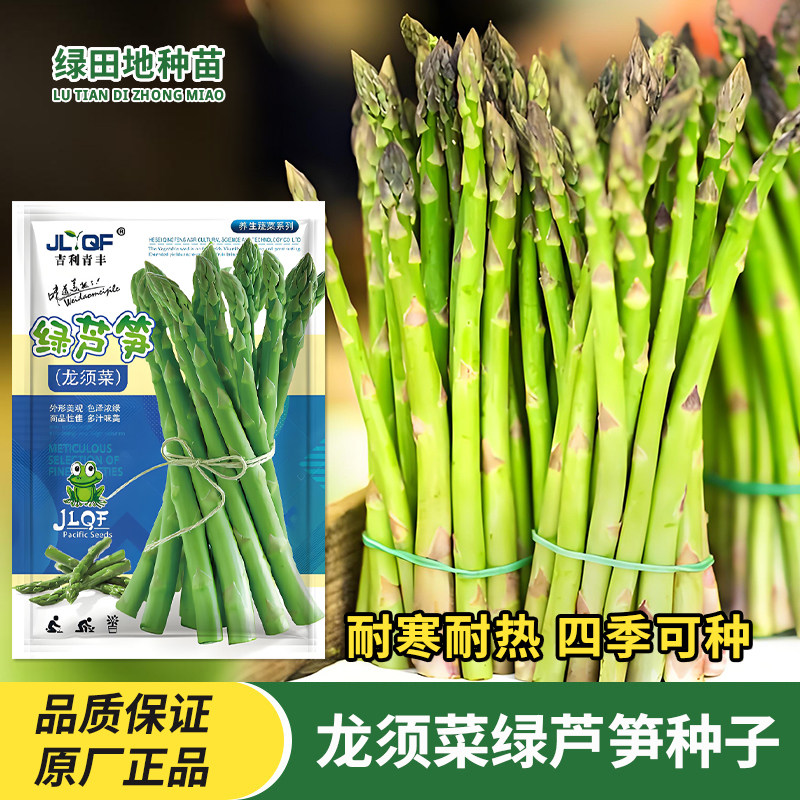 绿芦笋种子龙须菜蔬菜种孑