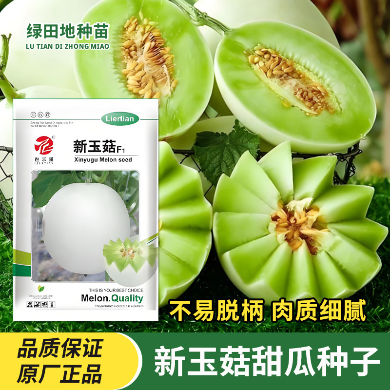 新玉菇甜瓜种子蜜瓜种籽