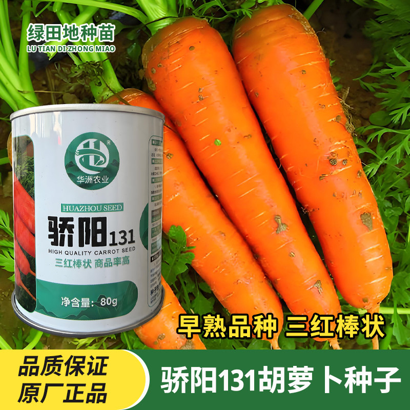 华洲骄阳131胡萝卜种子