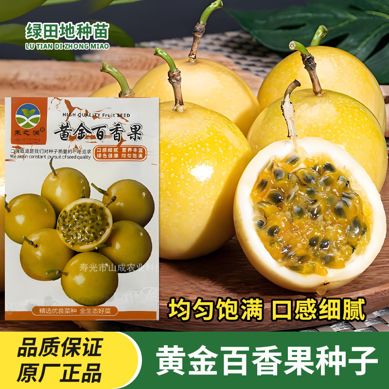 黄金百香果种子水果种孑