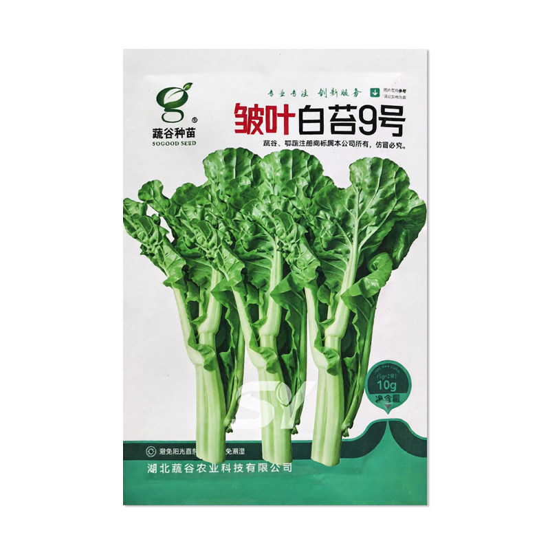 蔬谷皱叶白苔9号白菜苔种子