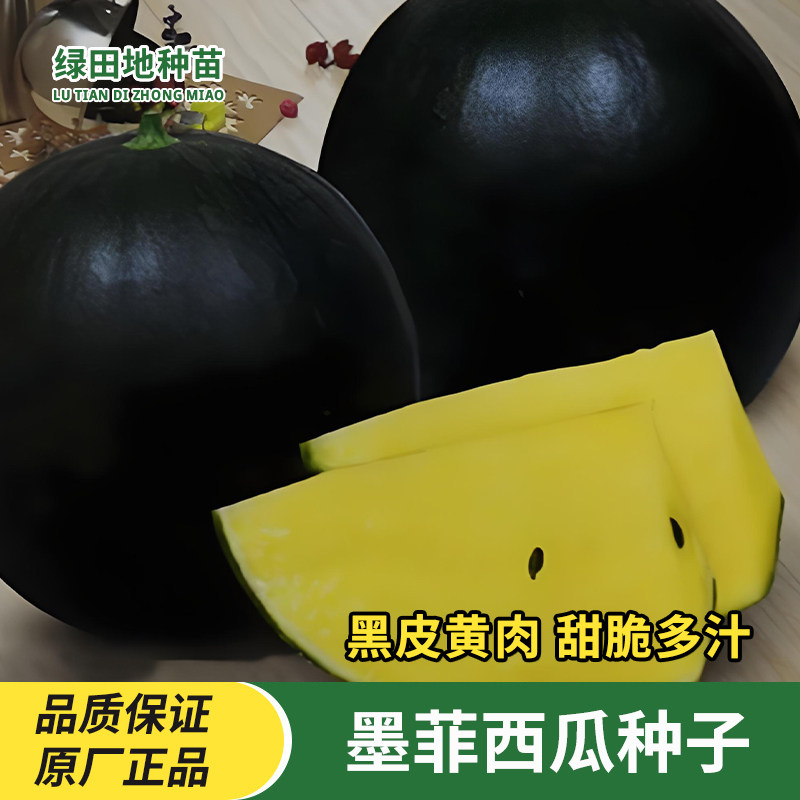 墨菲黑皮黄肉礼品西瓜种子